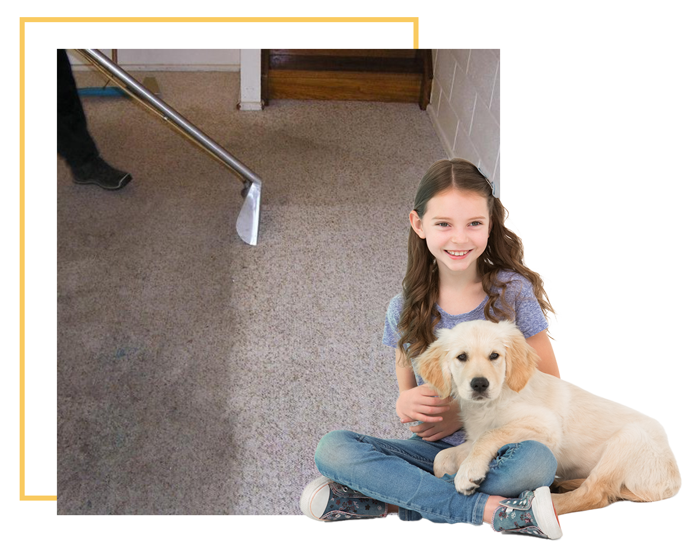 Pet stain removal